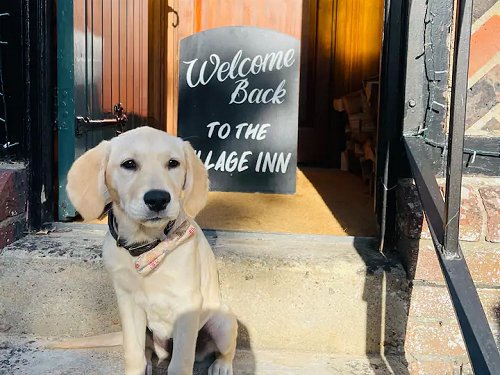 Dog friendly pub, The Village Inn at Liddington pub, Swindon
